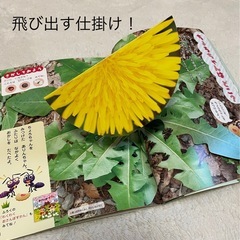 お話中★キンダーブック2★年中★幼稚園★保育園★仕掛けいろいろ★教育教材知育絵本図鑑　の画像