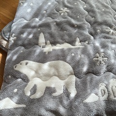 正方形こたつ掛け布団敷布団セット　ポーラベア柄ニトリの画像