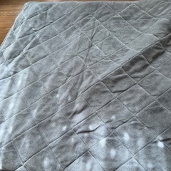 正方形こたつ掛け布団敷布団セット　ポーラベア柄ニトリの画像