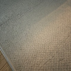 カーペットの画像