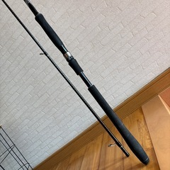 シマノ　ディアルーナ　S1006Mの画像