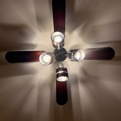 【美品】シーリングファンの画像