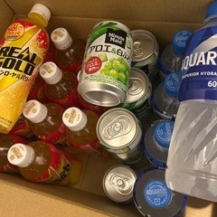 リアルゴールド アクエリアス アロエ＆白ぶどう 28本 セット売り の画像