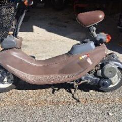 希少ズーク多分実働の画像