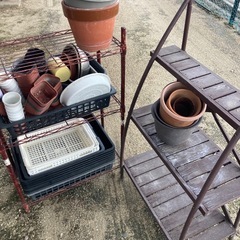 多肉植物寄植えの画像