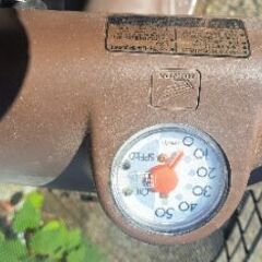 希少ズーク多分実働の画像