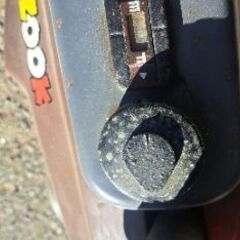 希少ズーク多分実働の画像