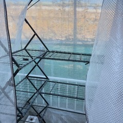 ビニール温室の画像