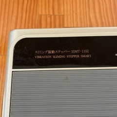 振動ステッパーの画像