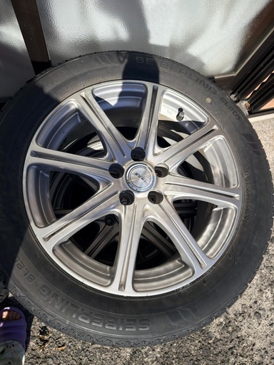 障害者用サマータイヤ 100 205 55 16