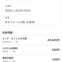 Lady GaGa ガガ The MAYHEM Ball ライブの画像