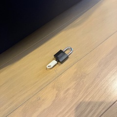 ACE スーツケースの画像