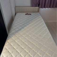 ベット無料の画像