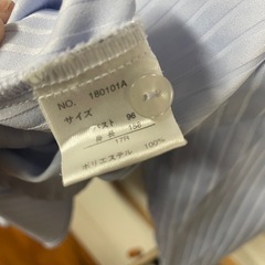 大きサイズレディースシャツの画像