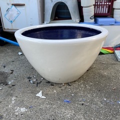 メダカ飼育用の鉢の画像