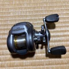 チームダイワ　　TD-S 103PVの画像
