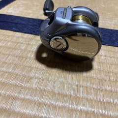 チームダイワ　　TD-S 103PVの画像