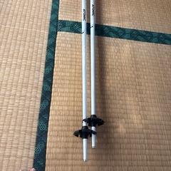 アトミック　ストック105の画像