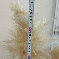 ドライフラワーとガラスのフラワーベースセットの画像