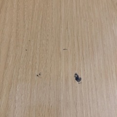 ダイニングテーブルの画像