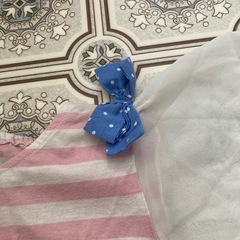 かわいい半袖の画像