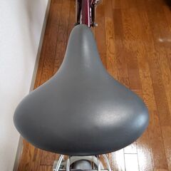 SAKAMOTOテクノ20インチ人気車❗お早めに。ブルーメミニ、ワインレッドの画像