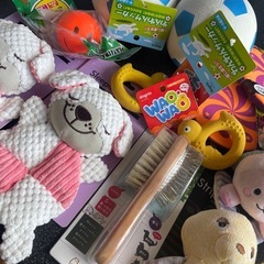 ペットの玩具等27点の画像