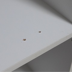 至急受取希望：カラーボックスの画像