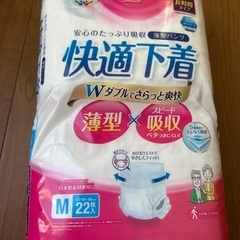 リフィール 快適下着 薄型パンツの画像