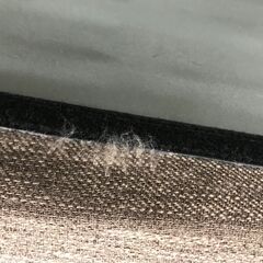 ＼家具＊家電のお店／【ｼﾞｬﾝｸﾞﾙｼﾞｬﾝｸﾞﾙ石川金沢店】ソファー2人用  ブラウン  W(幅)165×D(奥行き)77×H(高さ)64cmの画像