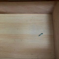 小物入れ　レトロの画像