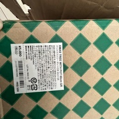 Francfranc 
クリスマスツリーの画像