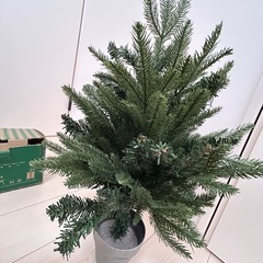 Francfranc 
クリスマスツリーの画像