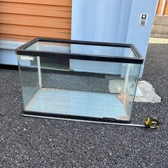 progre 水槽です。の画像