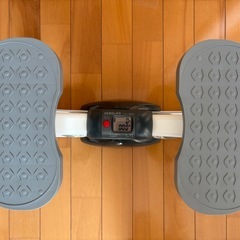 サイドステッパー
の画像