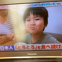 　Panasonic　VIERA　TH-26LX80-Hの画像