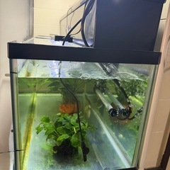 90センチスリム水槽濾過セットです。
の画像