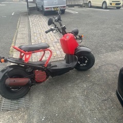 ズーマー50の画像