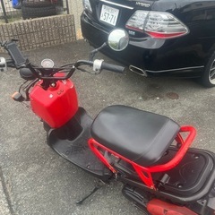 ズーマー50の画像