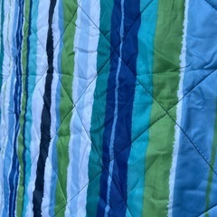 コストコ　レジャーシート　バッグ一体型の画像