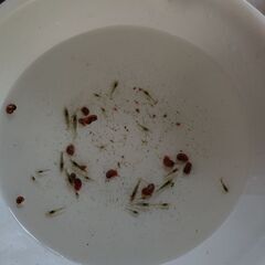 ミナミヌマエビ、アナカリス、レッドラムズホーンの画像