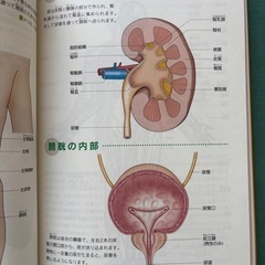 からだのしくみ大全の画像
