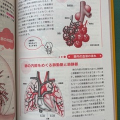 からだのしくみ大全の画像
