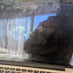 Macbook Pro A1502, 13インチの画像