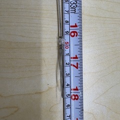 ニトリ　ワイヤービーズ　カーテンタッセル　新品未使用の画像