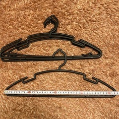 プラスチック　ハンガーの画像