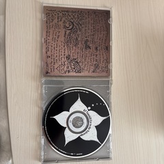 【KT Tunstall-アルバム】 suddenly i seeの画像