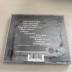 【KT Tunstall-アルバム】 suddenly i seeの画像