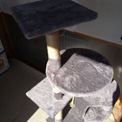 キャットタワー①の画像