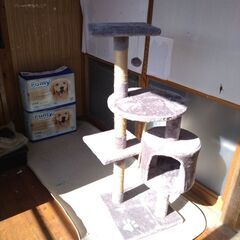キャットタワー①の画像